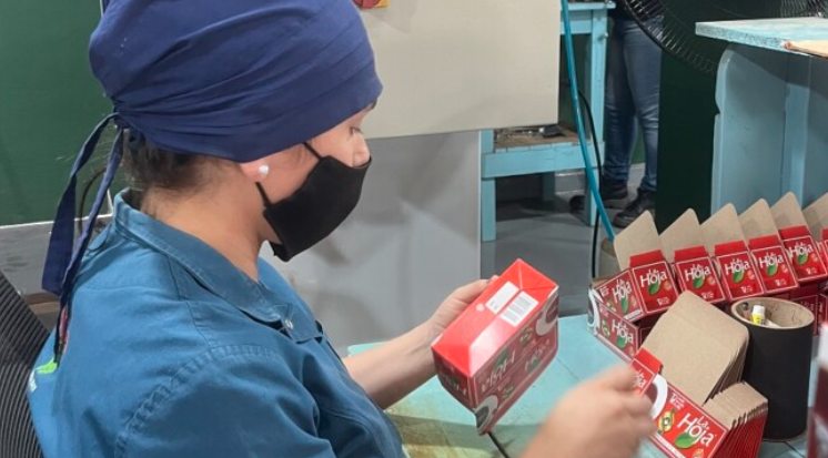 Cooperativas y empresas recibirán primeros $400 millones en formación laboral