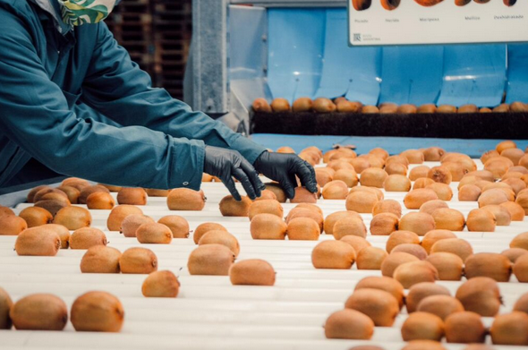 Comunicado de la Mesa Agroalimentaria Argentina : Retenciones cero: un privilegio para el agronegocio, un golpe al pueblo y a quienes producimos alimentos