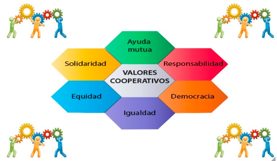 2025: Año Internacional de las Cooperativas – Construyendo un mundo mejor