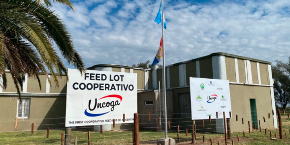 Histórico: Inauguran el primer feedlot cooperativo del país en la cuenca lechera de Córdoba y Santa Fe