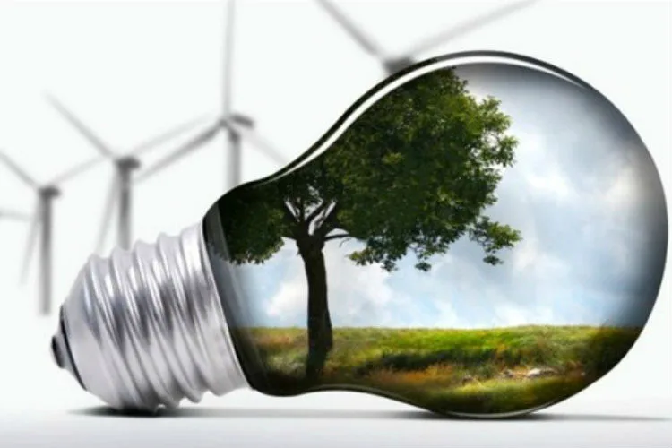 Cooperativas se preparan ante la nueva ley de Energía Distribuida