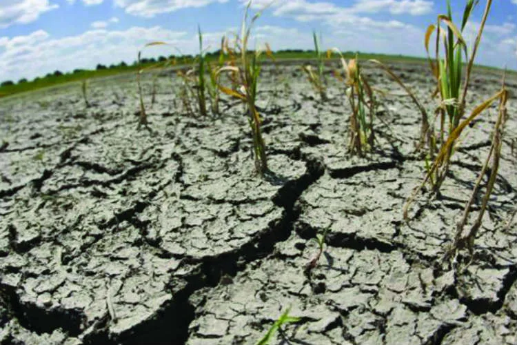 Coninagro frente a las sequías que afecta a distintas regiones del país