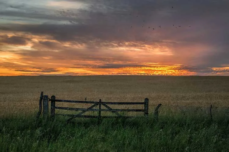 Lanzan un programa para fomentar el cooperativismo agropecuario en la provincia de Buenos Aires