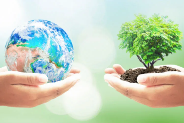 Cooperativas se suman a la Marcha Mundial por el Cambio Climático