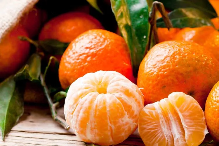 Exportación de mandarinas cooperativas a Filipinas