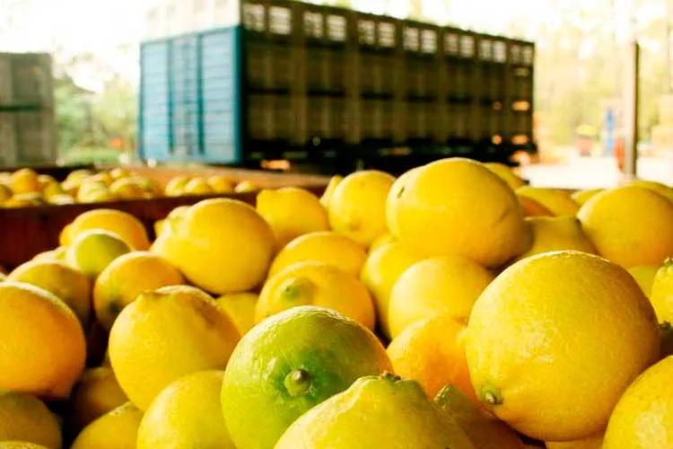 Corrientes: Una cooperativa generará 500 nuevos puestos de trabajo