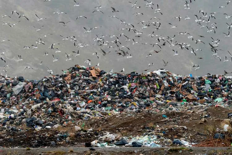Cooperativas de recicladores urbanos rechazan el decreto que permite importar residuos