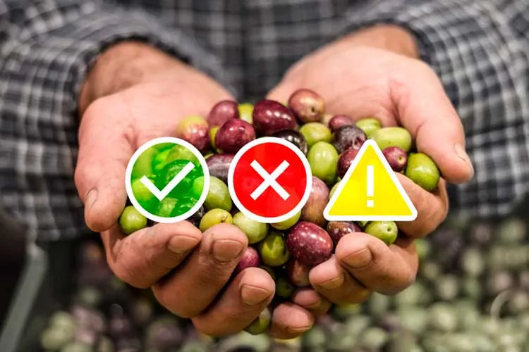 Coninagro presentó el Semáforo de Economías Regionales