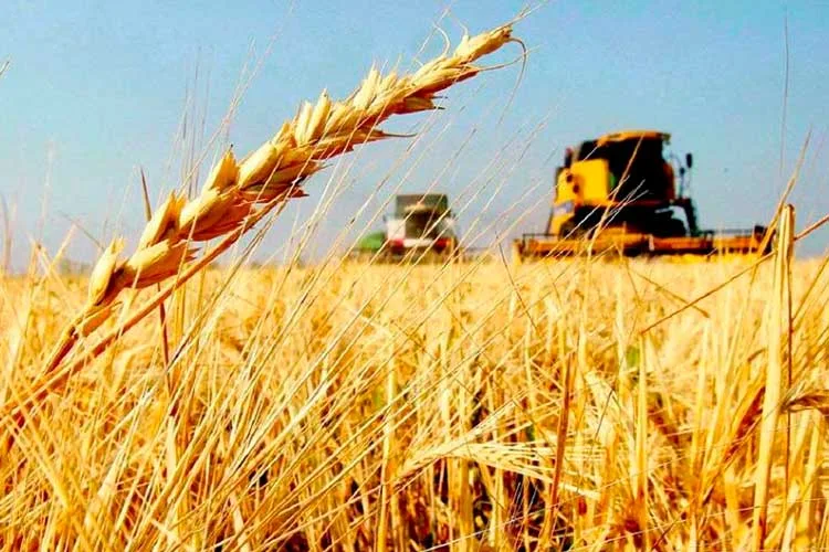 Coninagro pide libre acceso a los mercados y de comercialización