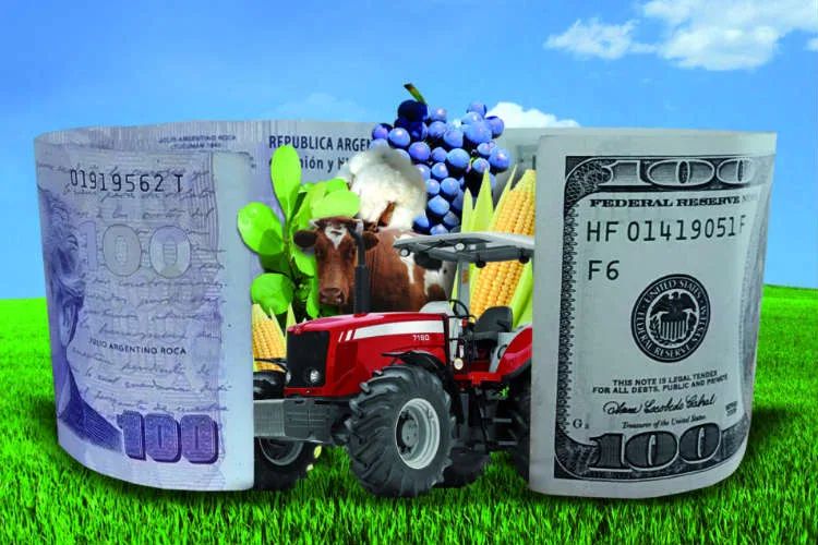 Deuda externa y retenciones, la mirada de Coninagro