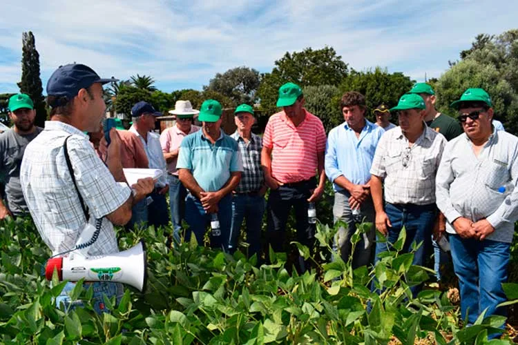 AFA brindará capacitaciones técnicas a sus asociados
