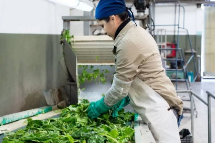 Cooperativa en el programa “Argentina sin hambre”