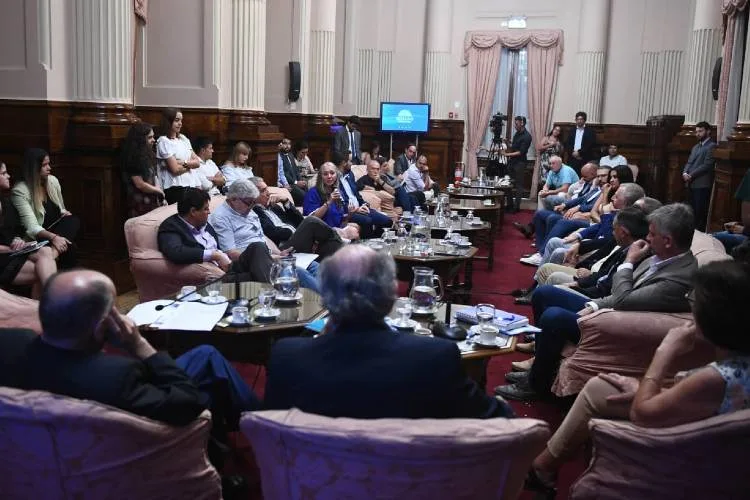 La Mesa Nacional de Cooperativas de Electricidad se presentó en el Senado
