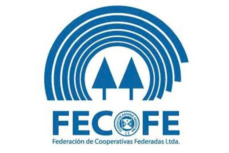 “La plata que la ponga la especulación financiera”