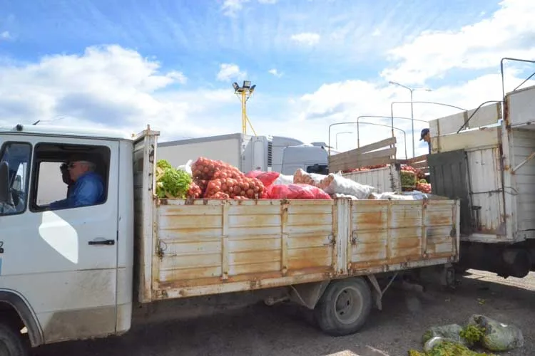 En España las cooperativas garantizan el abastecimiento de alimentos a la población