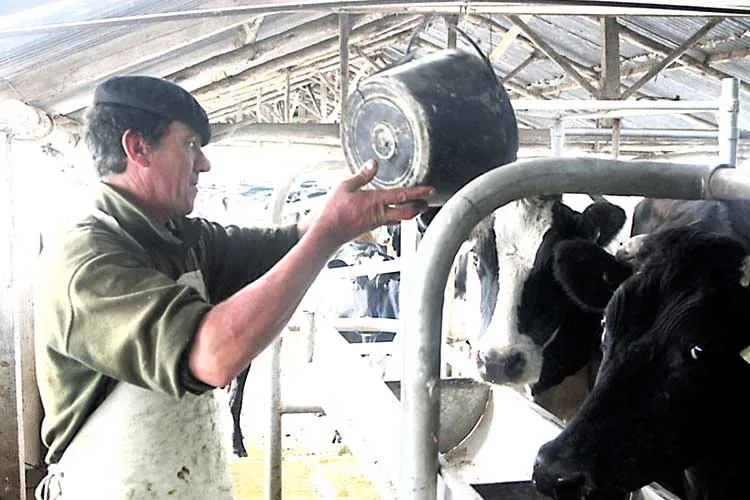 Nuevo semáforo sobre las Economías Regionales de Coninagro