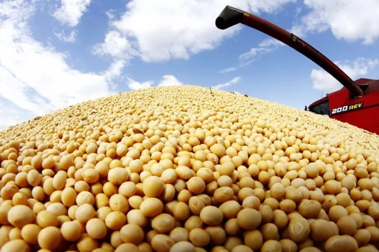 12 de agosto: Día del Cooperativismo Agropecuario