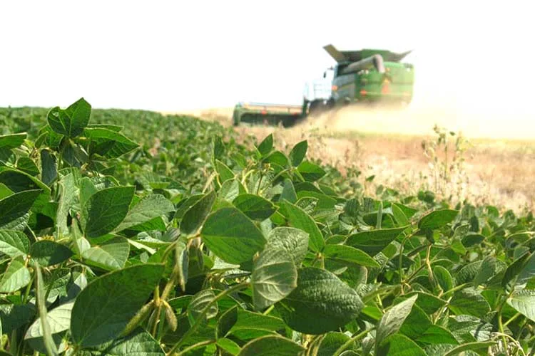 Fecofe celebró el pago de compensaciones por retenciones a la soja de pequeños y medianos productores