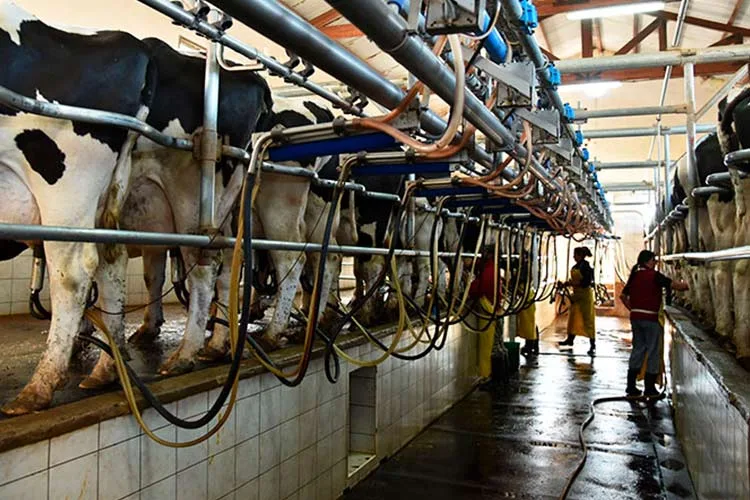 Convenio para brindar asistencia financiera a productores de leche