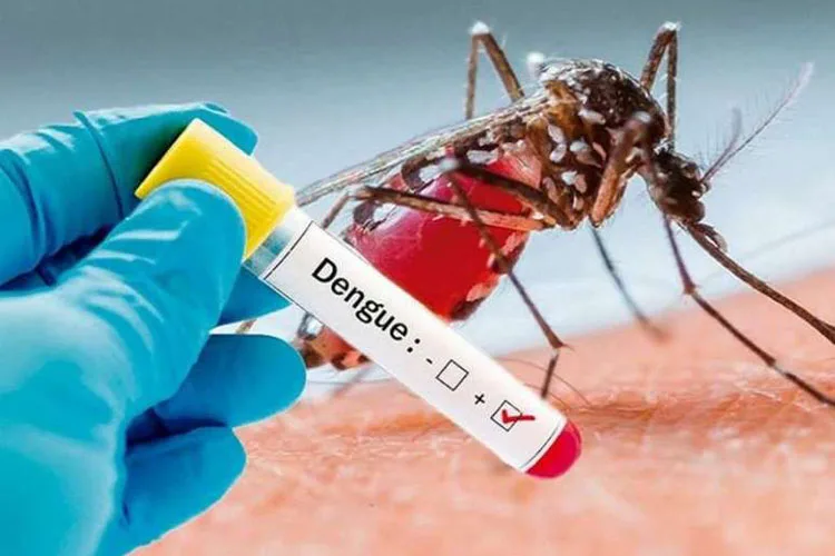 Consejos de FAESS para prevenir el dengue