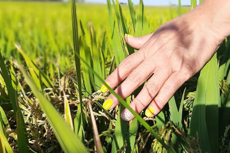 Mujeres de Coninagro