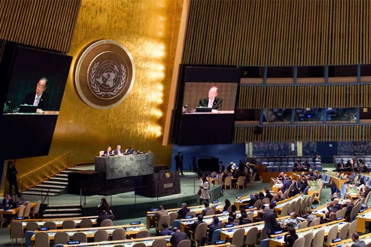 Las cooperativas fueron destacadas por la ONU
