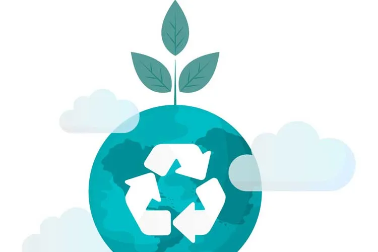 Cooperativas celebraron el Día de la Educación Ambiental