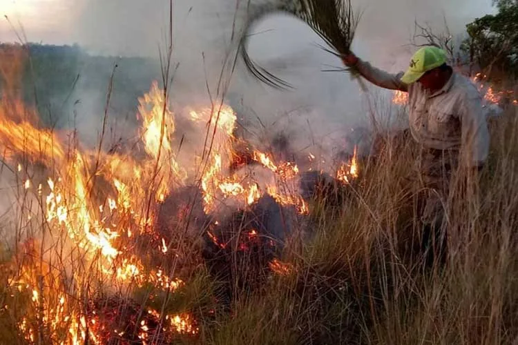 El drama del cooperativismo agropecuario en Corrientes