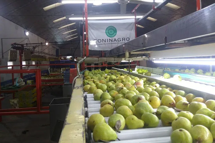 La respuesta de Coninagro a Agustín Rossi