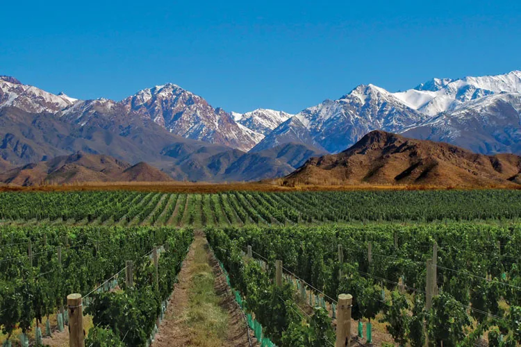 Mendoza: Descuento en el seguro agrícola para cooperativas