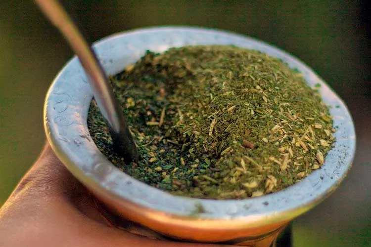 La mejor yerba mate del país la produce una cooperativa
