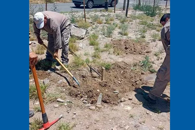 Catamarca: La Federación de Cooperativas Alberto Rosa inició la construcción de una nueva sede