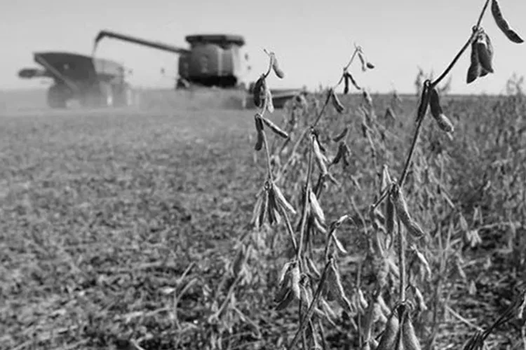 La 125, 15 años después de que el país respaldó al campo