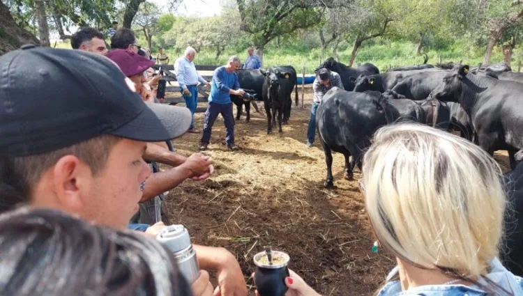 Cooperativa de Córdoba produce forraje verde hidropónico