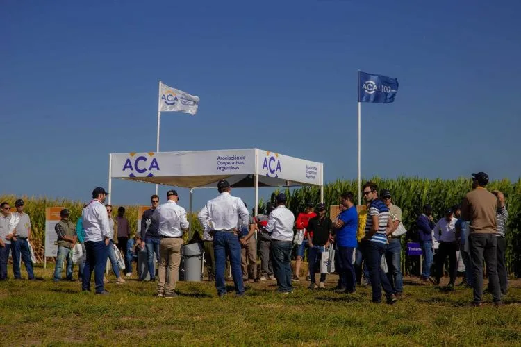 Organizado por ACA: todas las innovaciones para el agro se verán A Campo Abierto, en Rojas