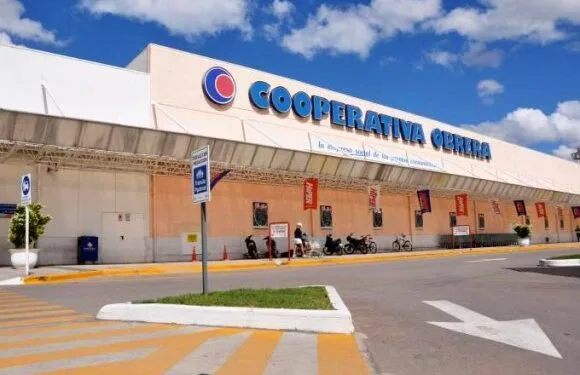 Las cooperativas, una solución a las necesidades agroalimentarias en Sudamérica