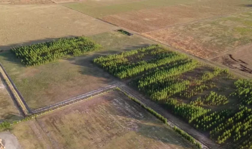 Cooperativa del Agro Destaca Innovación y Compromiso Social en Proyectos Sustentables