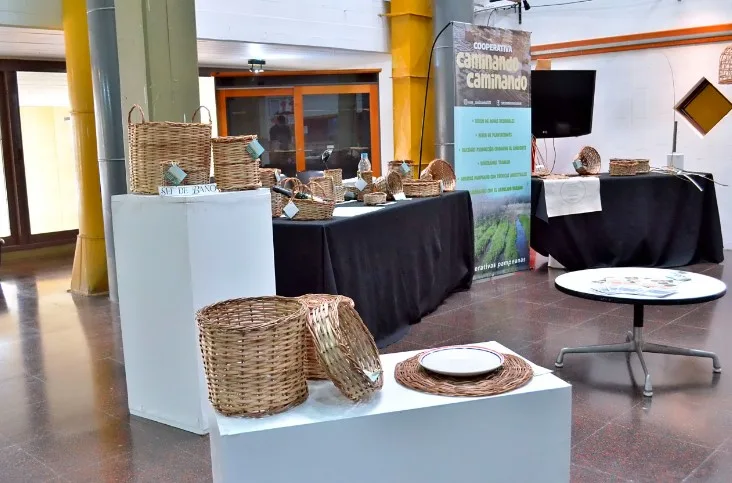 Innovadora Exposición de la Cooperativa "Caminando, Caminando" en la Legislatura Pampeana
