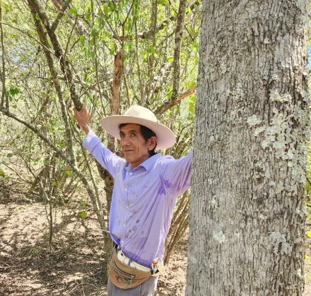 Crearon un proyecto para preservar los bosques nativos y y el desarrollo de las cooperativas del Gran Chaco a través de la tecnología