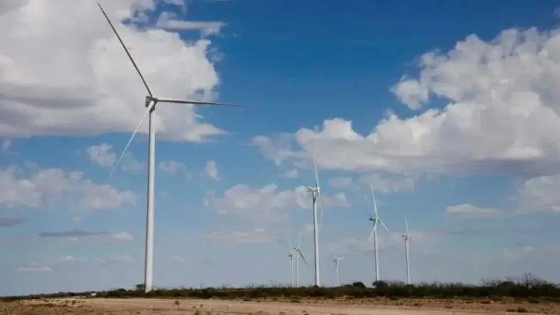 Energías renovables en Argentina: un nuevo récord histórico en 2024