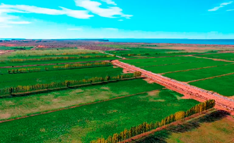 Cooperativas cordobesas desembarcan en la Patagonia con un proyecto de alfalfa de calidad para exportación
