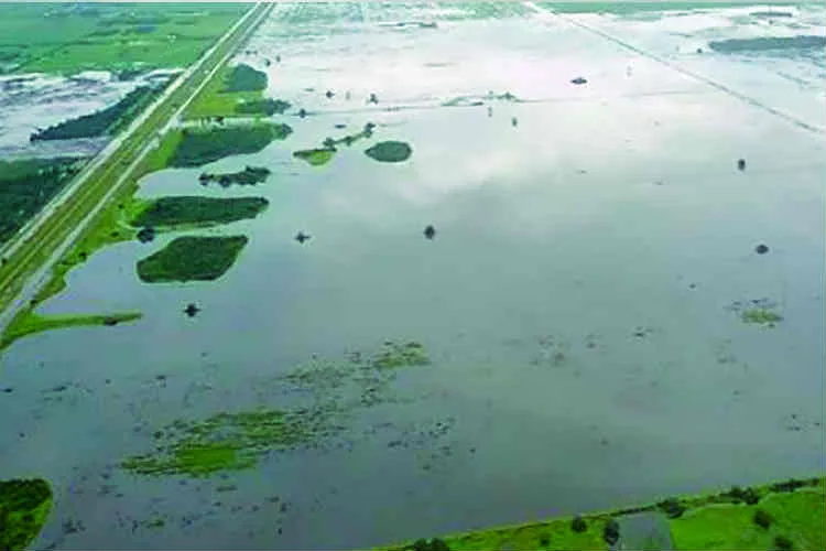 Crítica situación por inundaciones en el campo argentino