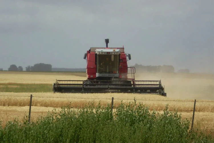 “Mientras otros gobiernos destacan el rol de sus productores, el nuestro nos vapulea”