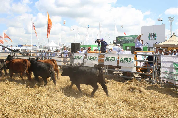 AFA participó de la Expoagro