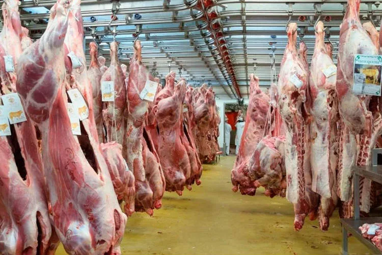 Argentina vuelve a exportar carne vacuna a EE.UU.