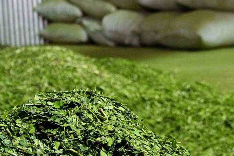 Convocan a cooperativas para un desafío exportador