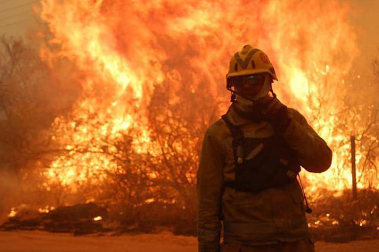 Cooperativismo al servicio de las Brigadas Forestales