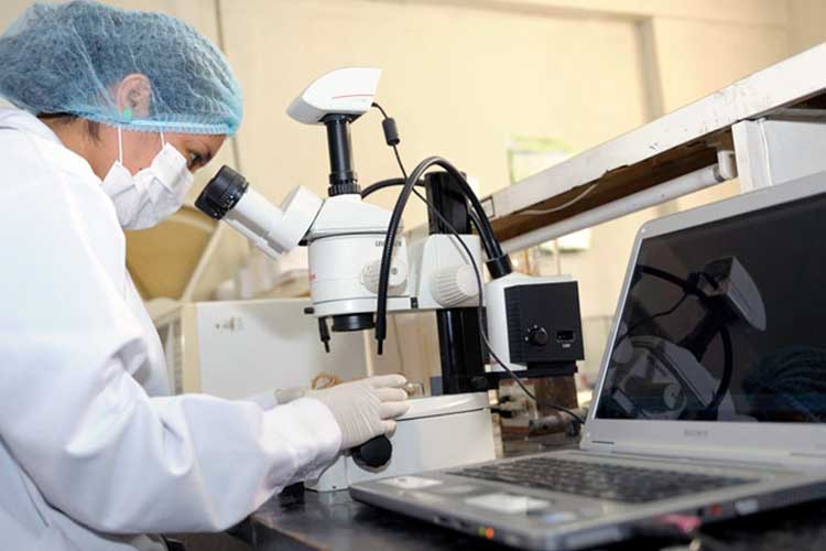 FONTAR: Una inversión de más de 4 mil millones de pesos en PYMES y cooperativas