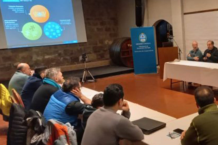 Mendoza: Apuesta por la creación de cooperativas de la industria del conocimiento